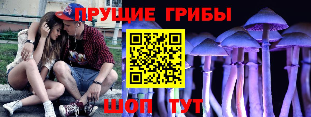 Галлюциногенные грибы Psilocybine cubensis  Вход с VPN  Медногорск  Псилоцибиновые грибы MAGIC MUSHROOMS 